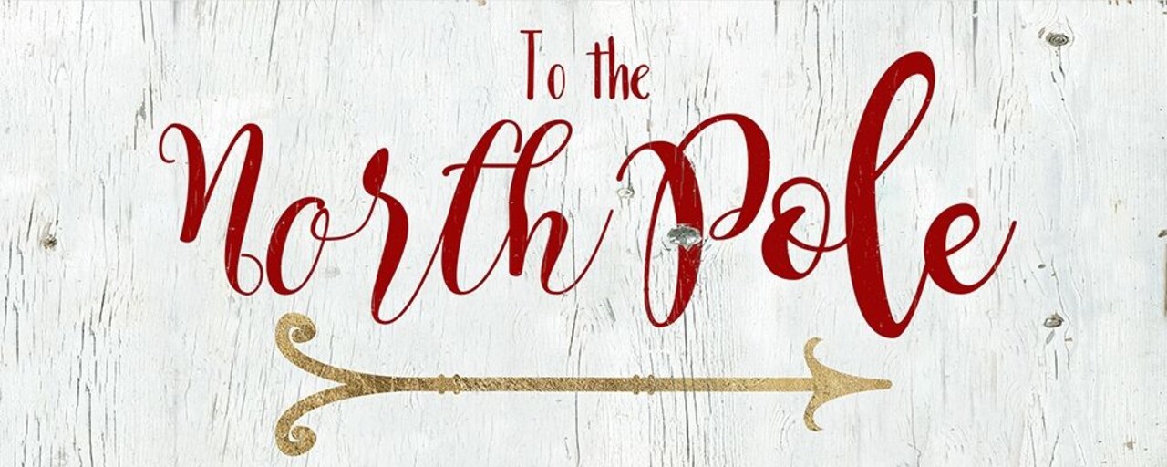 North Pole Poster Print by Daniela Santiago - Item # VARPDX41238